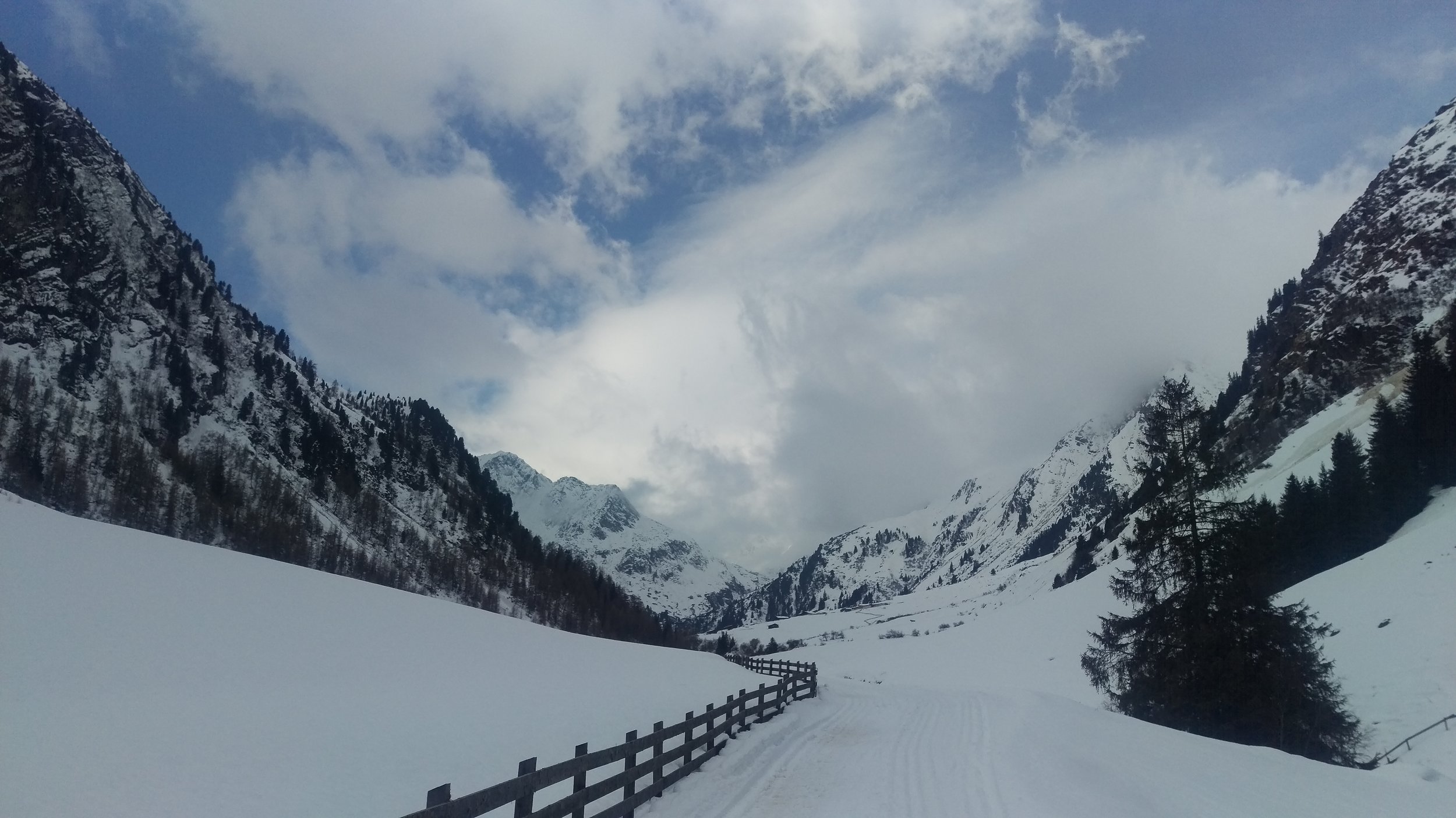 IMAG0061.jpg
