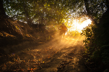mtb eve light.jpg