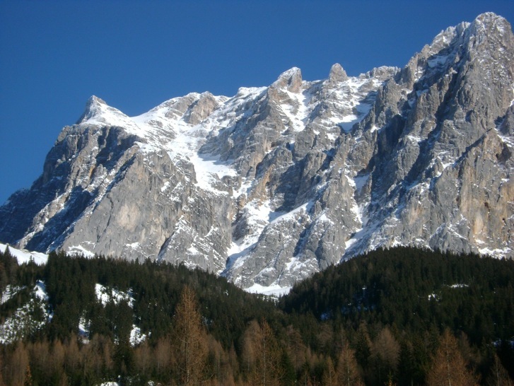 DSC00318.jpg