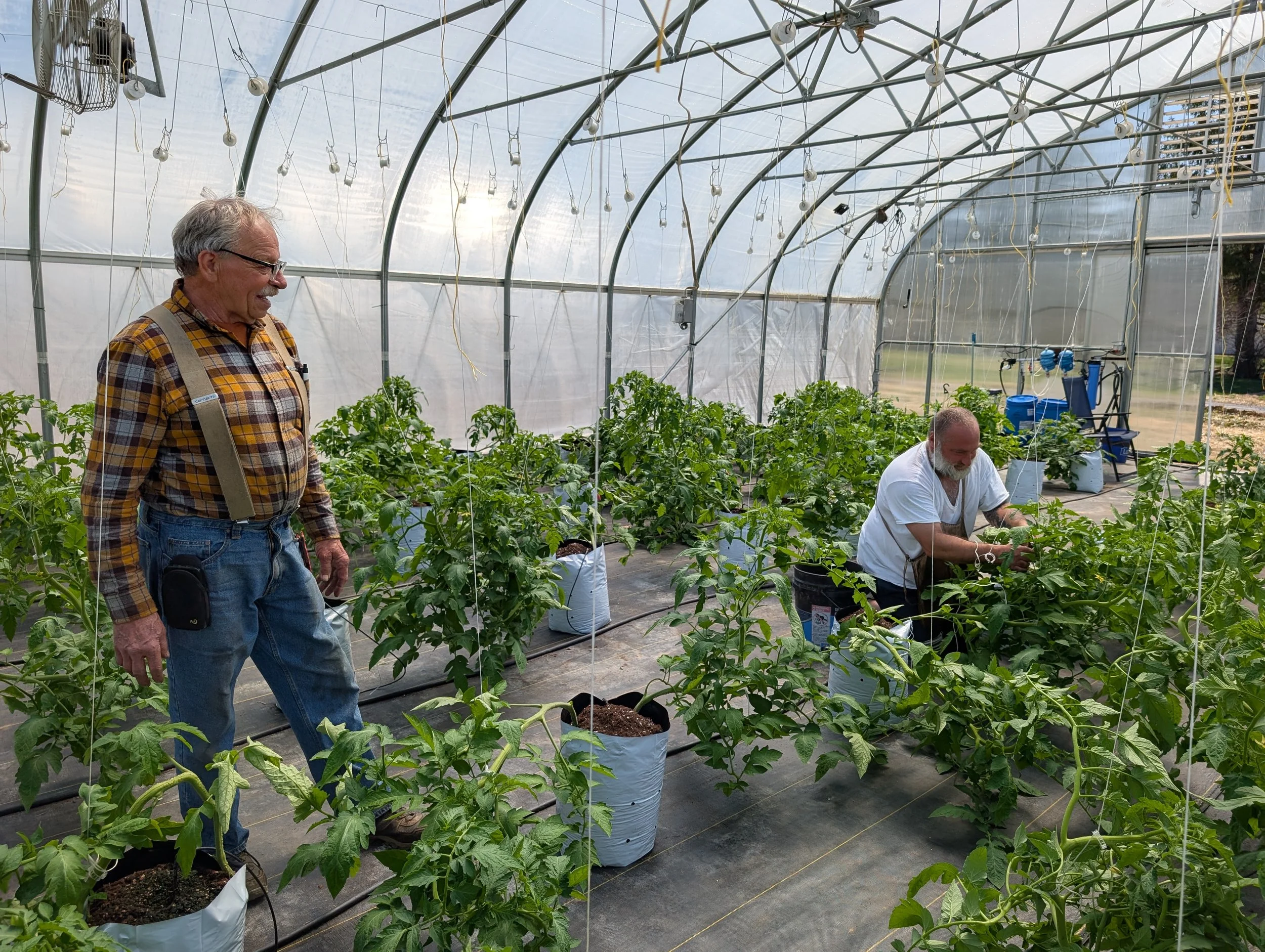 GreenhousePXL_20250420_155616565.MP.jpg