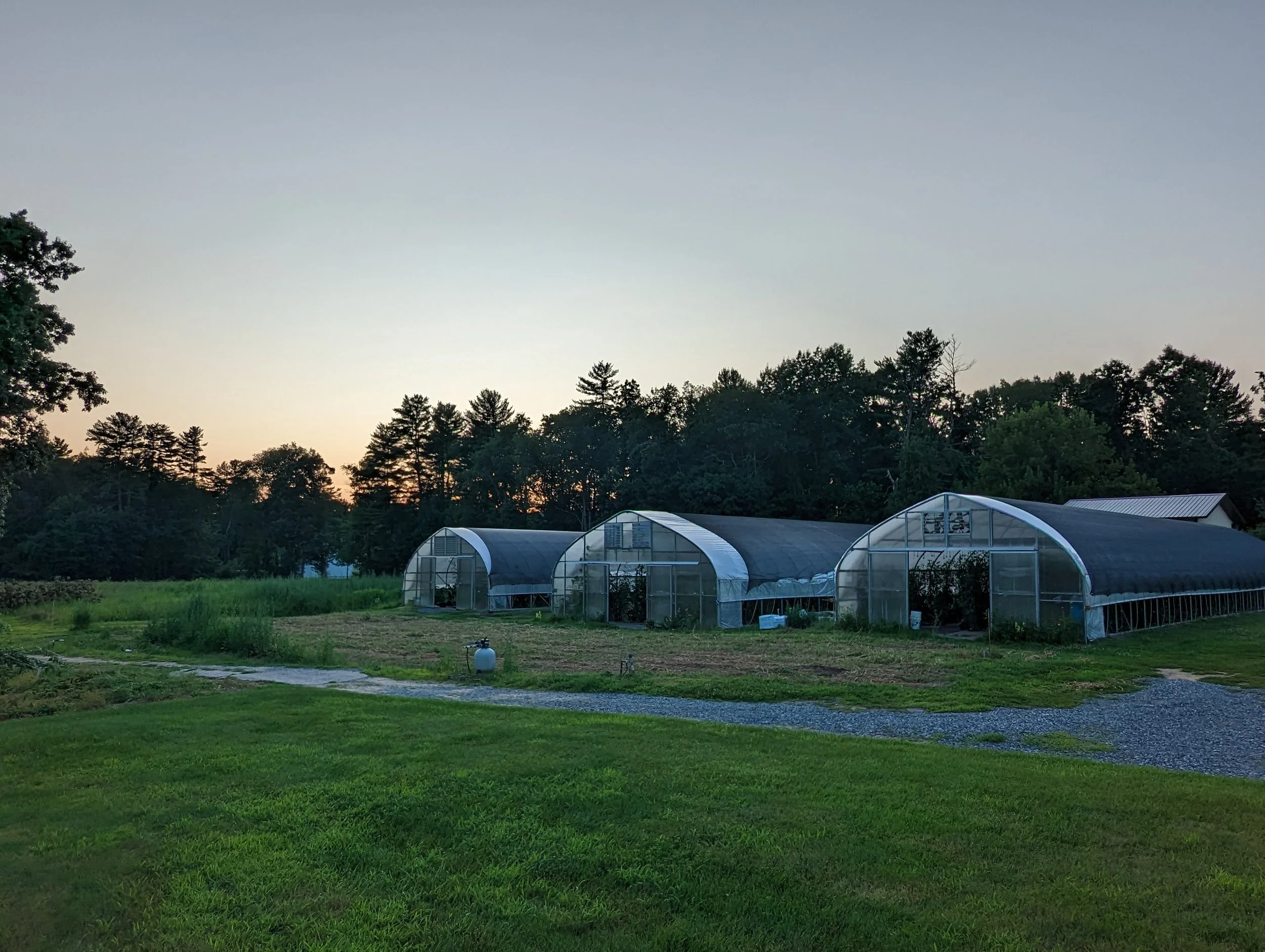 GreenhousePXL_20230724_000702448.jpg