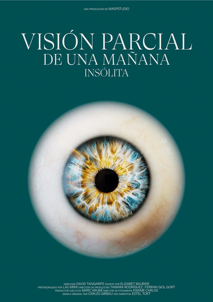 23-poster_Visión-parcial-de-una-mañana-insólita.jpg