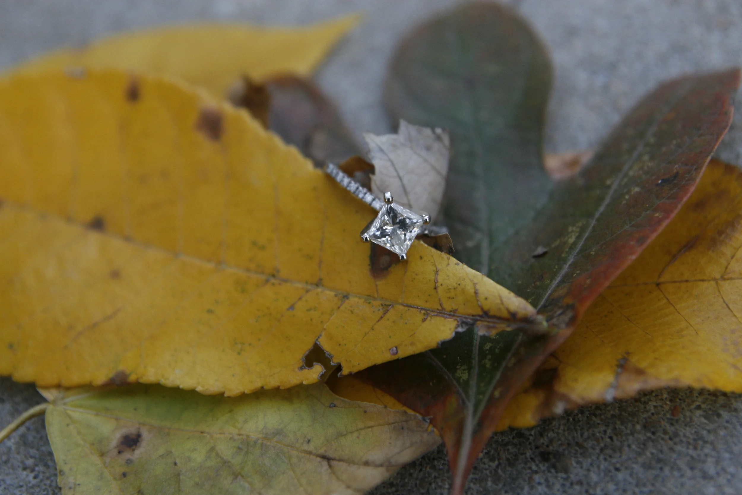 _MG_5836.JPG