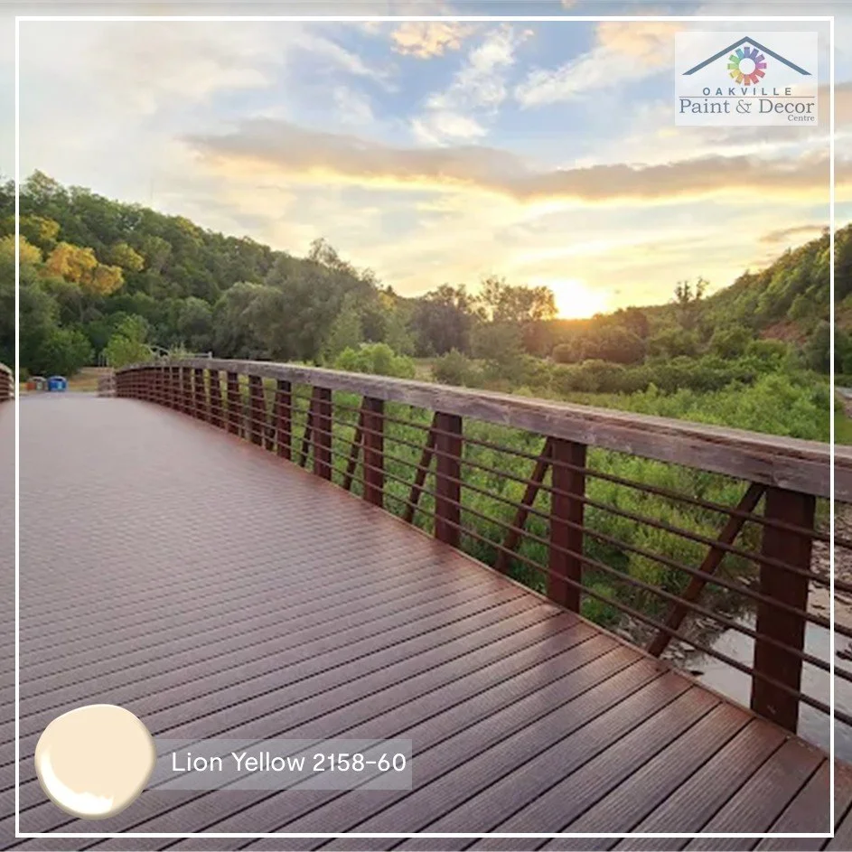 Have the courage of a lion to trek down into Lion's Valley in Oakville, ON and visit what used to be a crossing point for First Nations peoples before Oakville rehabilitated the area into a natural park. Explore the trail system running alongside Six
