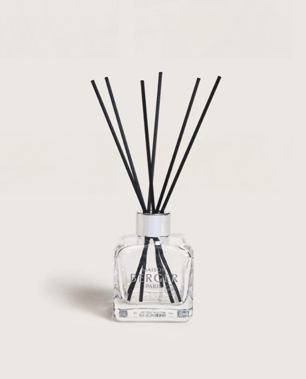 pure white tea reed 3.PNG