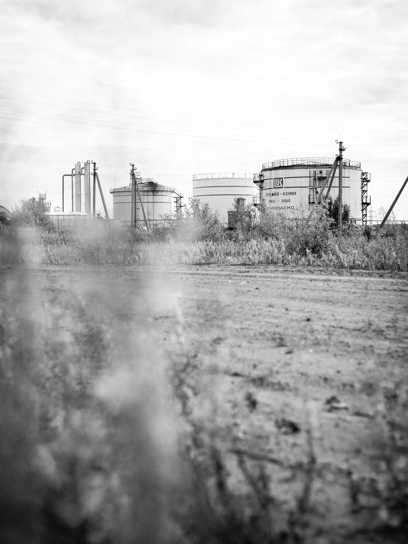 _MG_1721.jpg