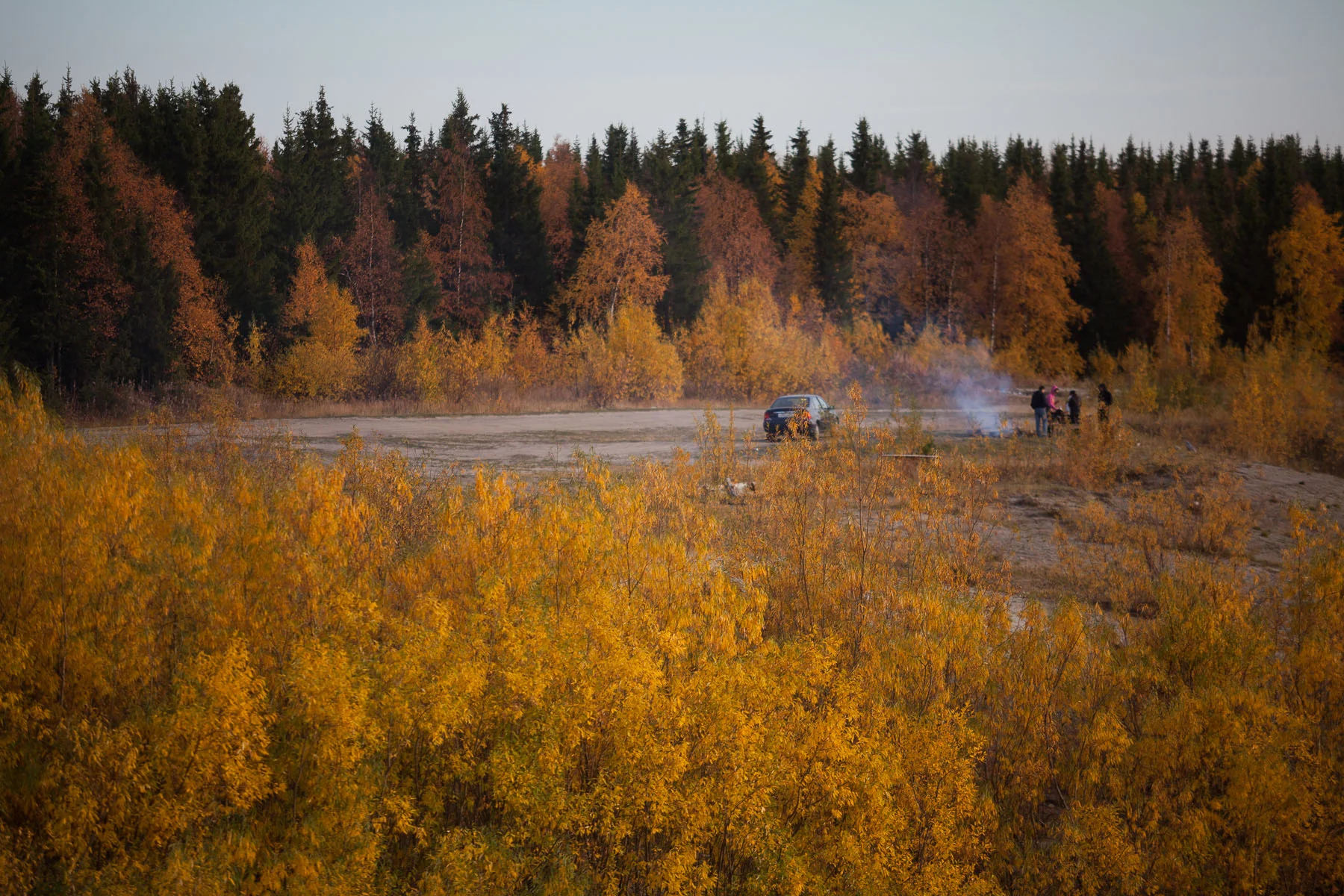 _MG_2898.jpg