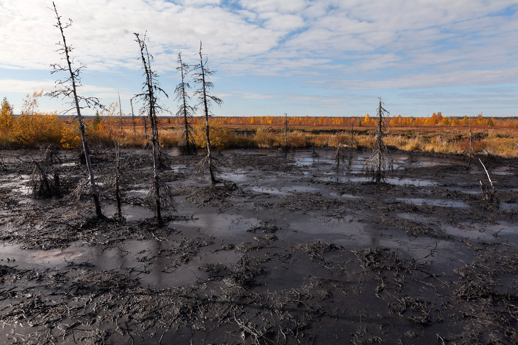 Причина экологических проблем в тундре. Разлив нефти в тундре. Разлив нефти в Западной Сибири. Загрязнение тундры нефтью. Усинская катастрофа.