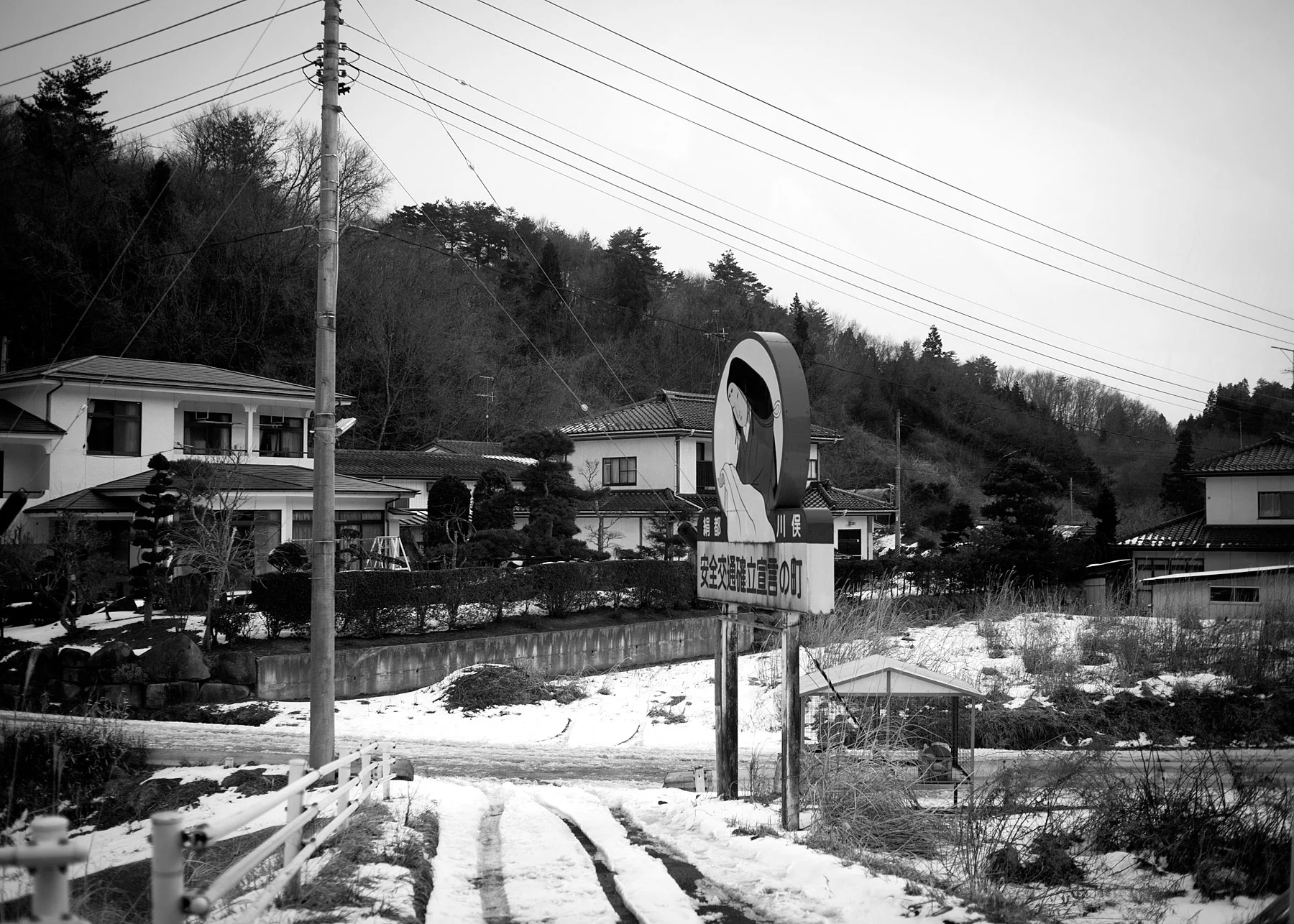 _MG_1879.jpg