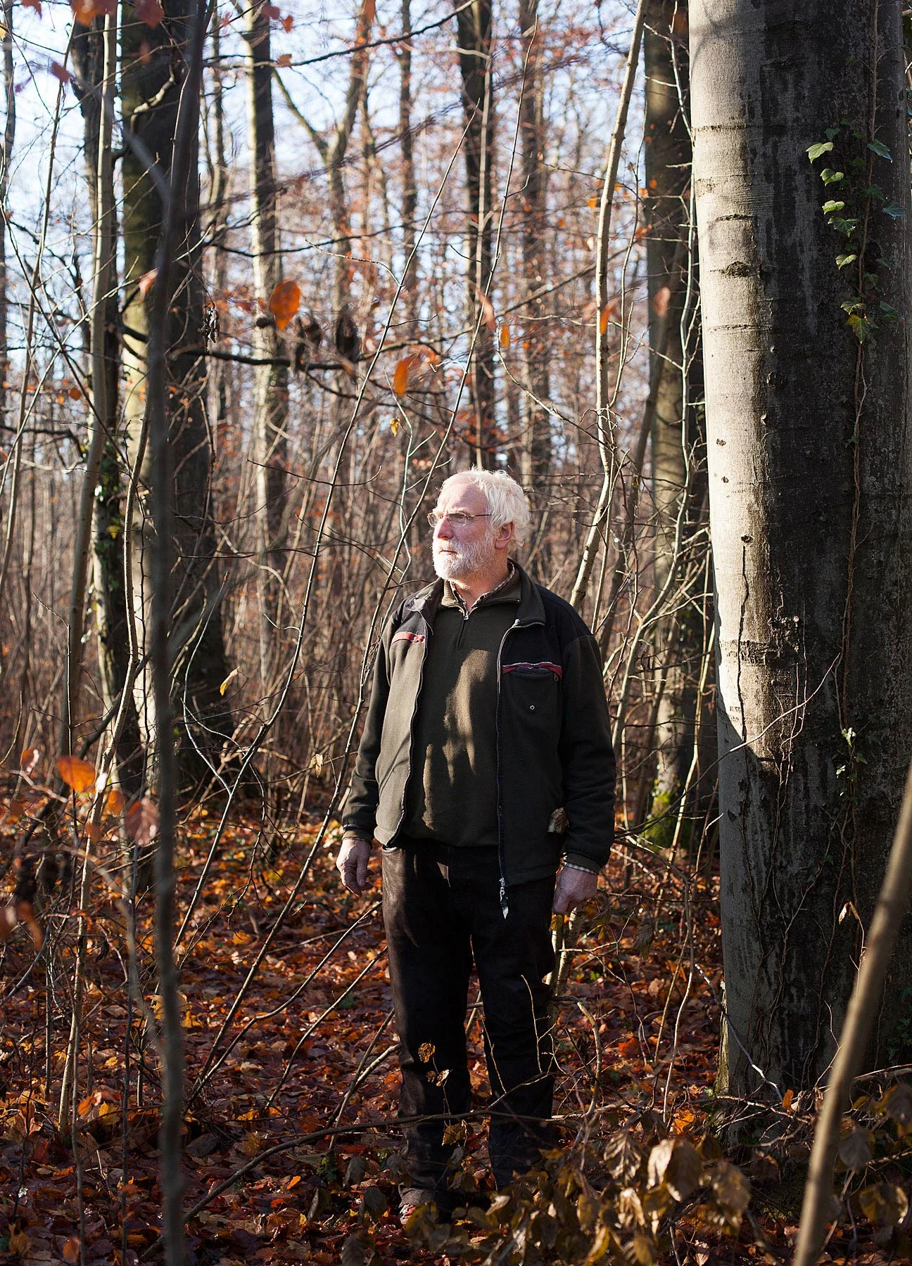 Martin Levin, Förster