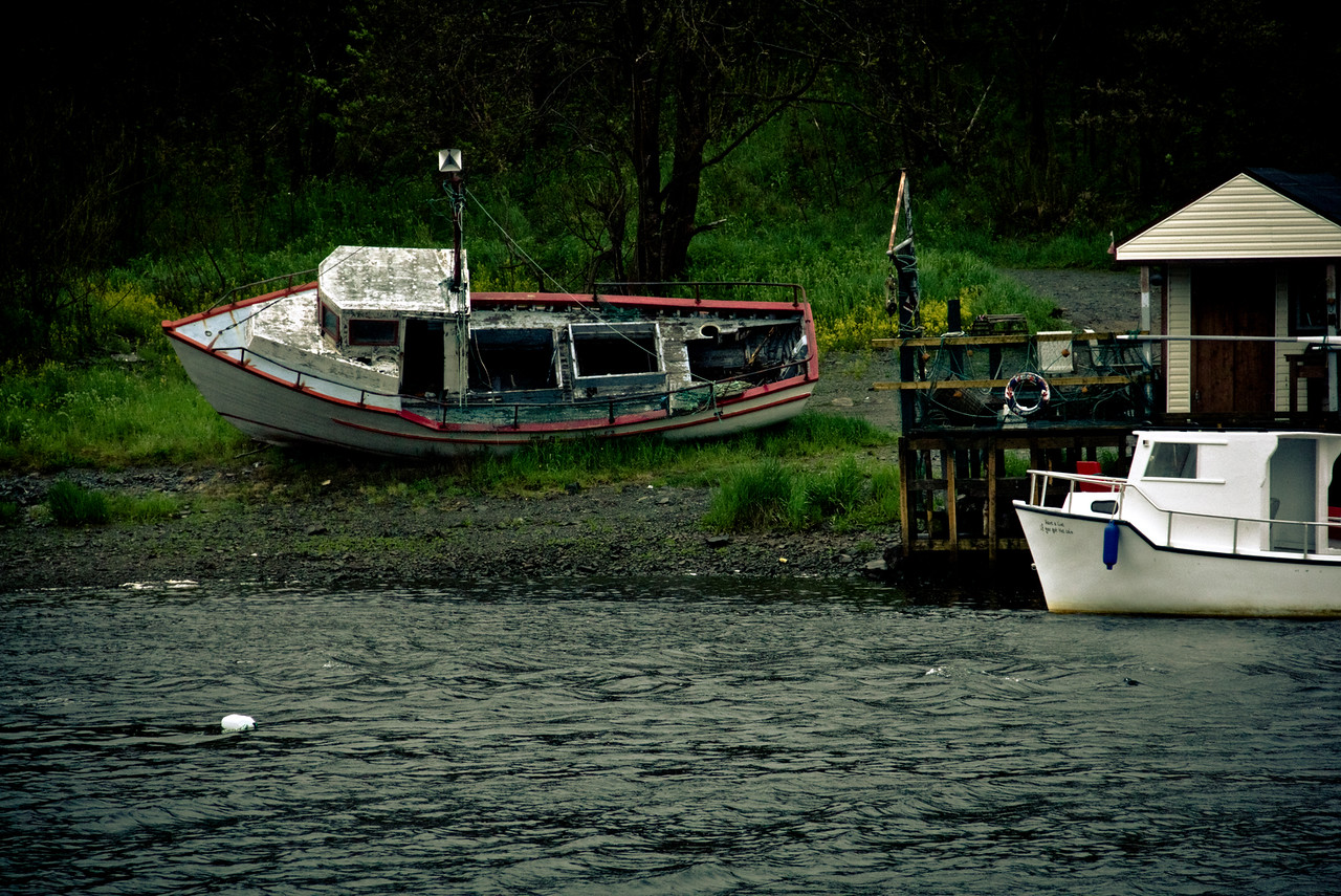 NEWFOUNDLAND3