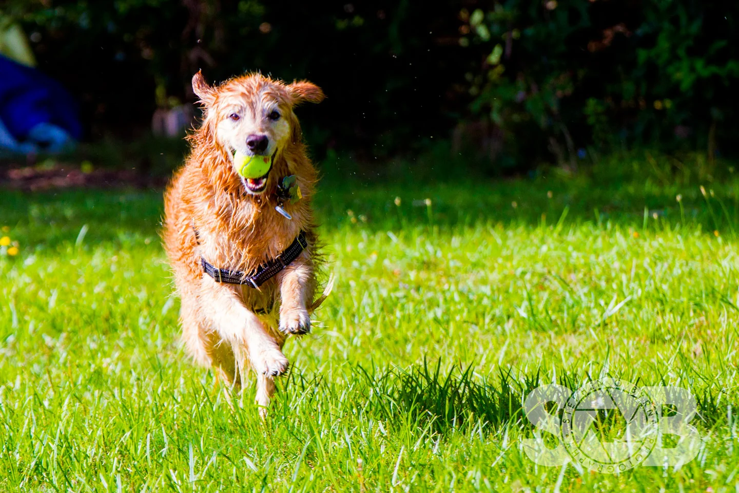 _MG_0720.jpg
