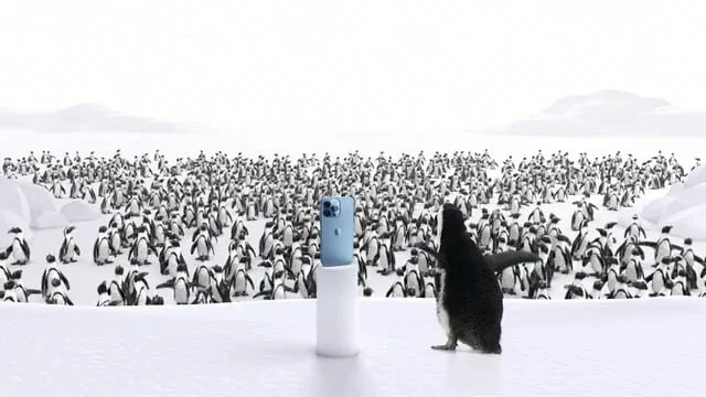 Telus/Apple Crowd Pleaser 30