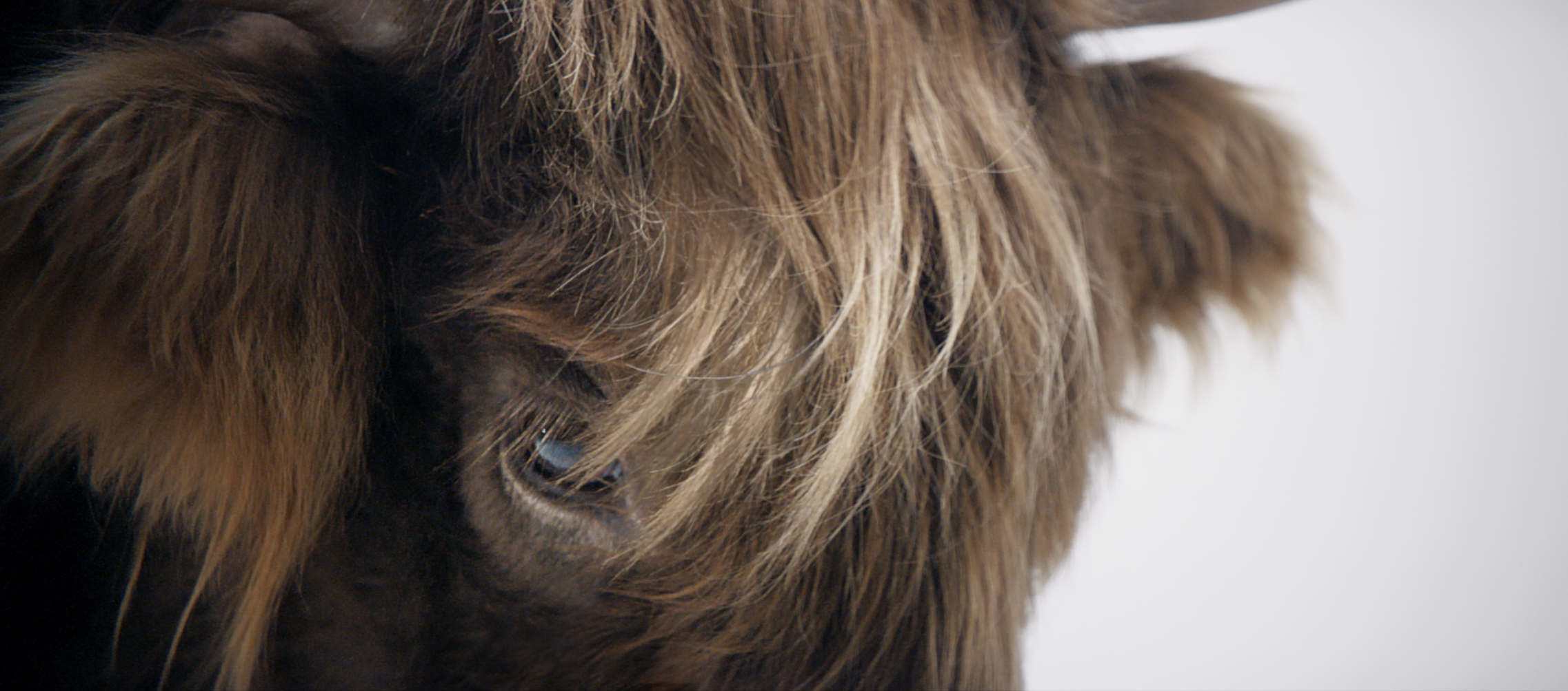 Screenshot 2026-01-12 at 7.41.38 AM.png