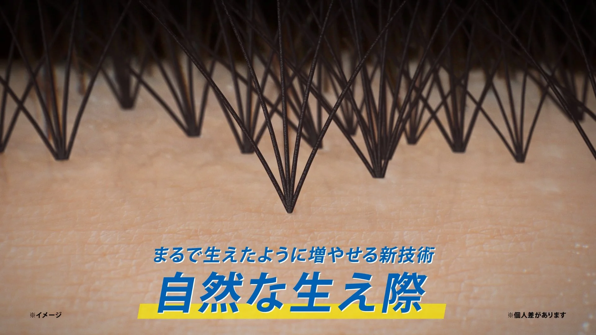 01_kakumei_30s_Tnashi_01_re.mp4.00_00_11_18.静止画008.jpg