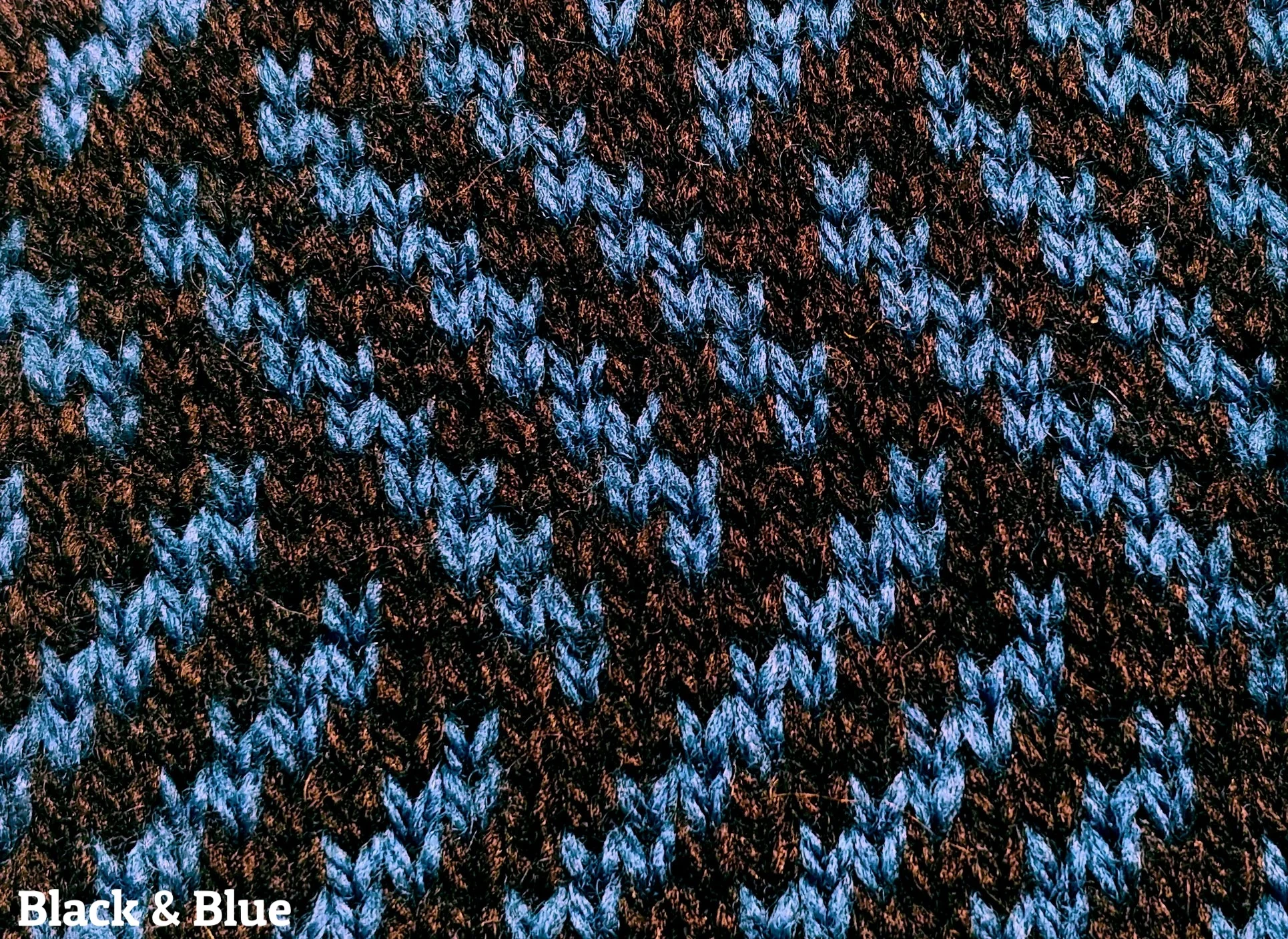 angie_black_blue.jpg