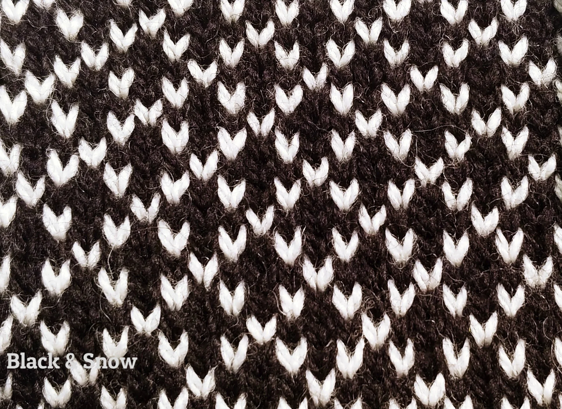 dorthi_black_snow.jpg