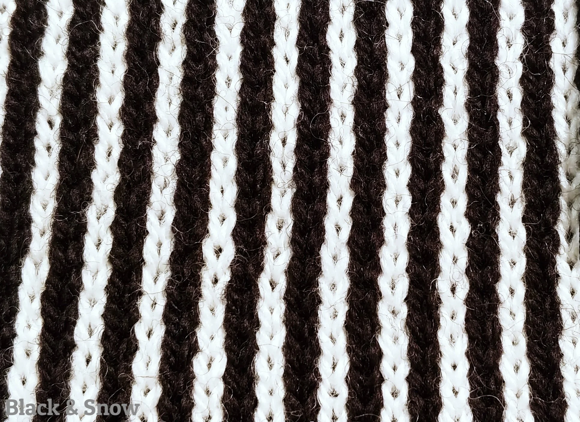 rosemary_black_snow.jpg