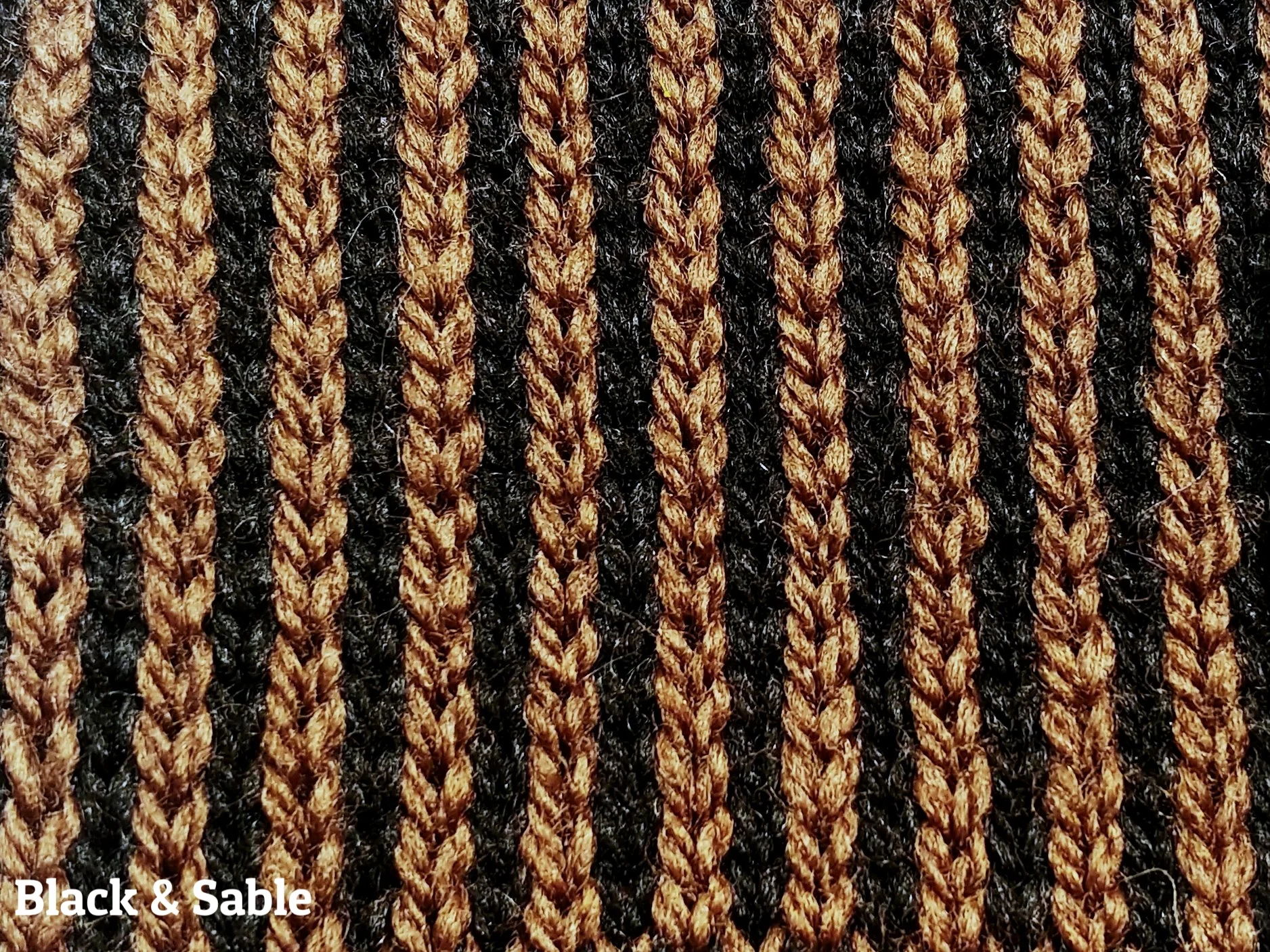 rosemary_black_sable.jpg