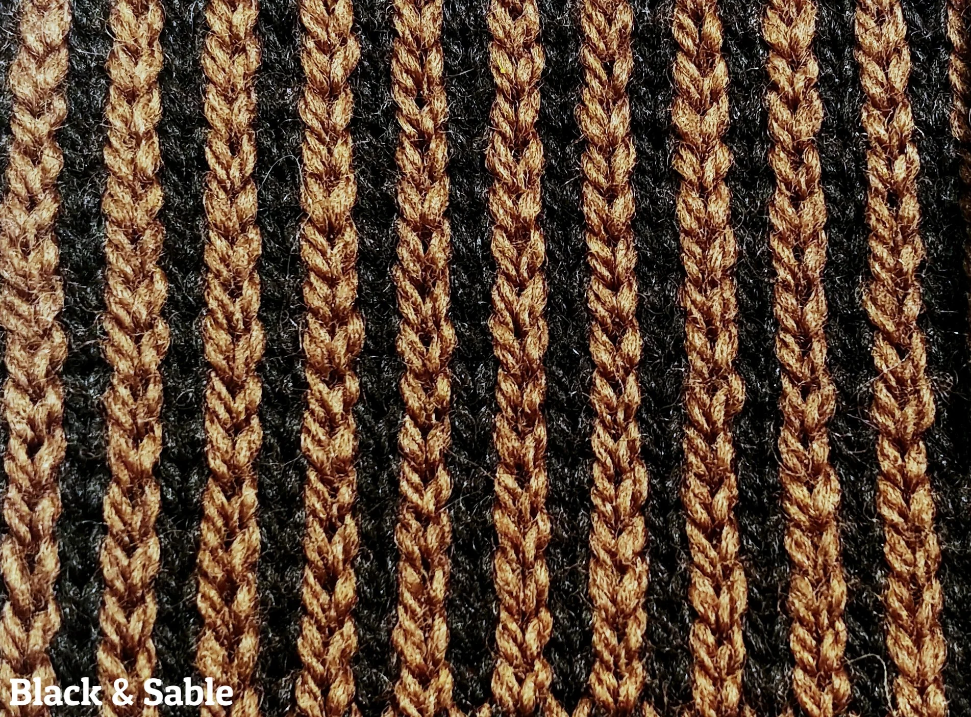 rosemary_black_sable.jpg
