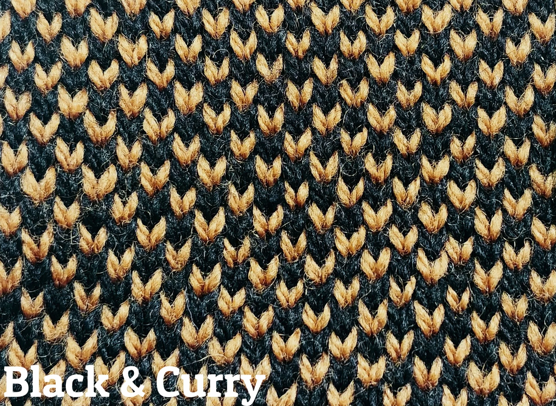 gertrude_black_curry.jpg