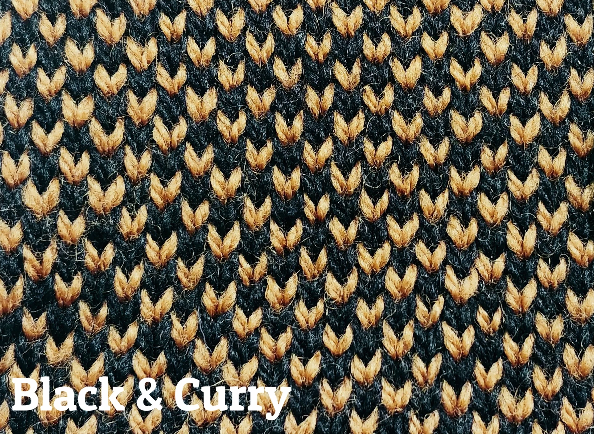 gertrude_black_curry.jpg