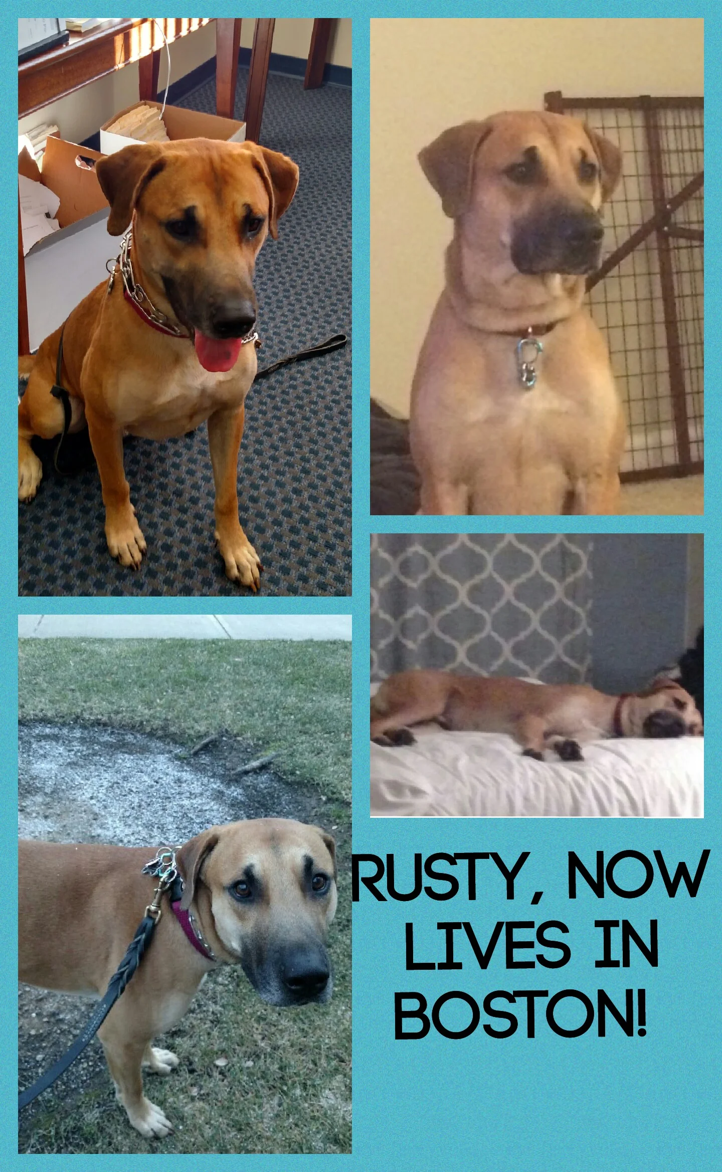 Rusty