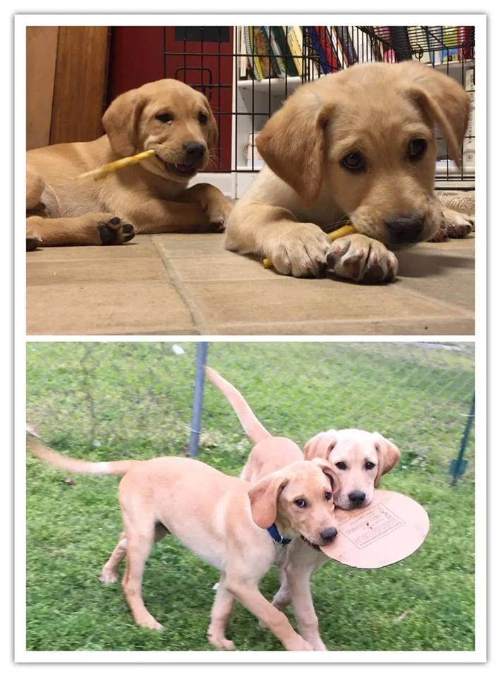 Kate & Oliver