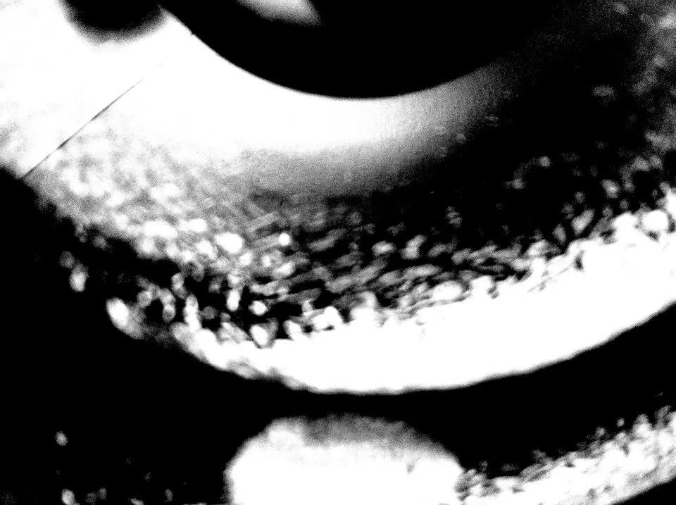 photo10.jpg