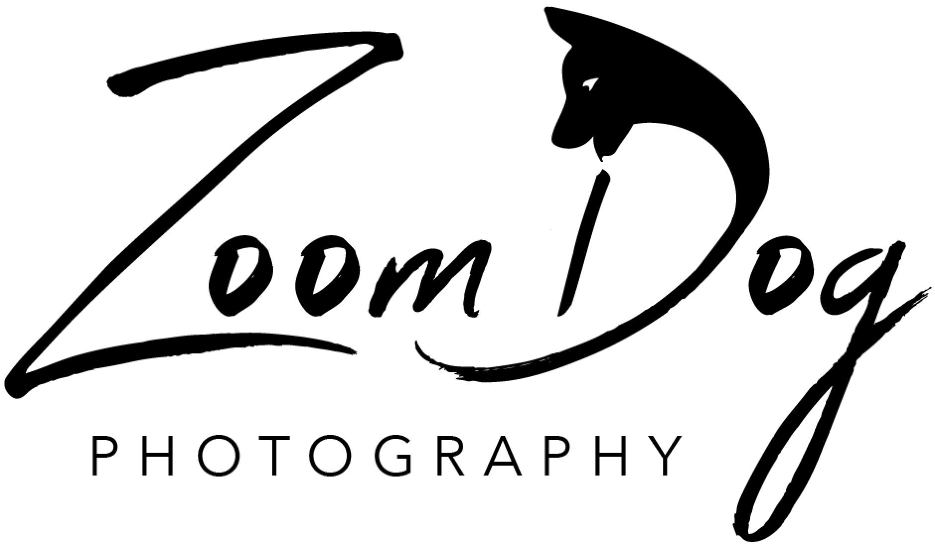 Zoom Dog Photography