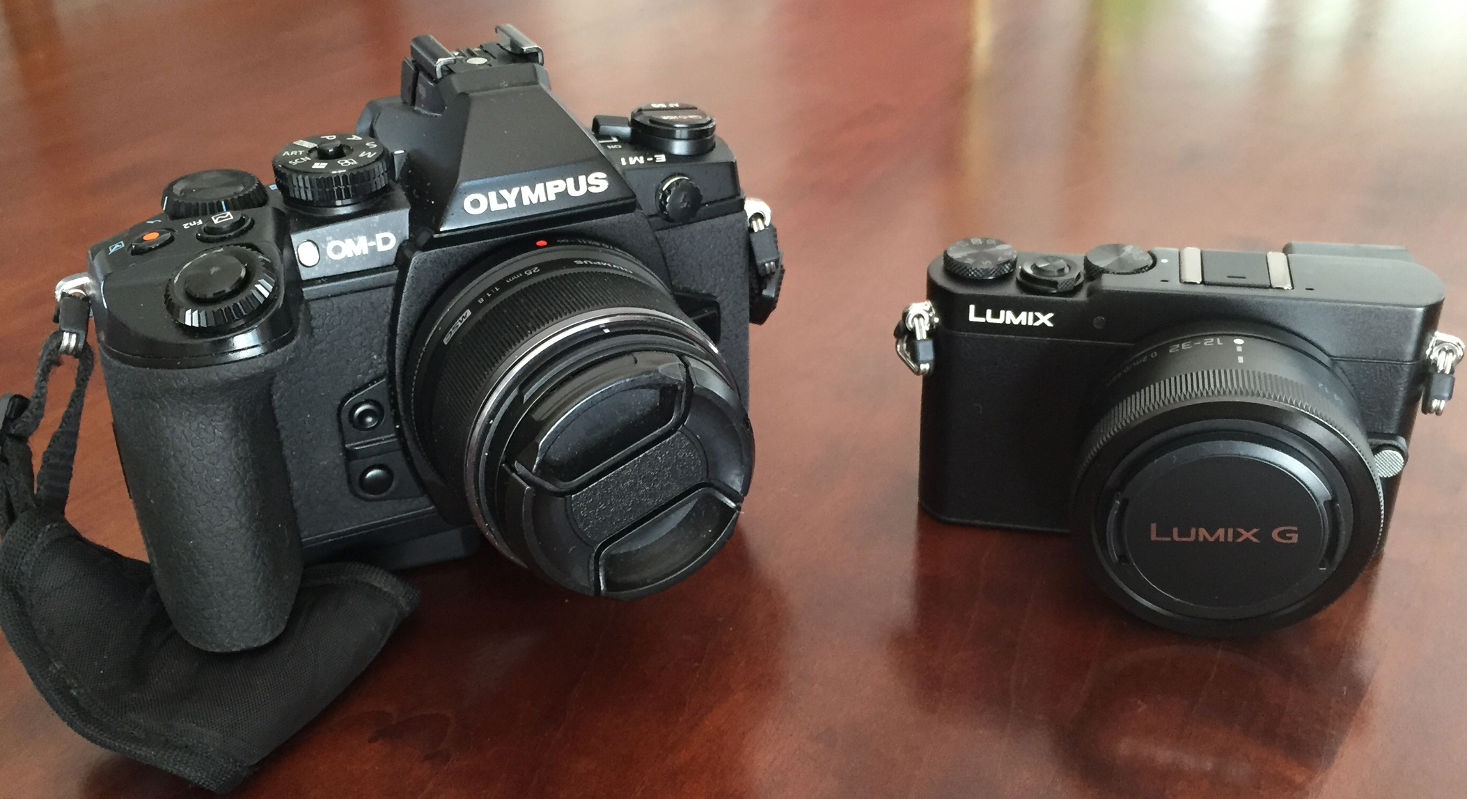Olympus OM-D E-M1 with the 25mm lens and Panasonic GM-5 with the 12-32mm lens.