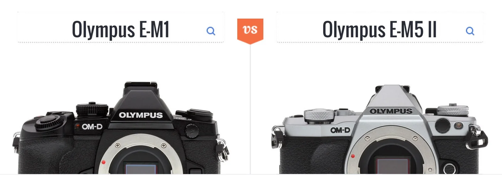 Should I replace my Olympus OM-D E-M1 with an E-M5 II?