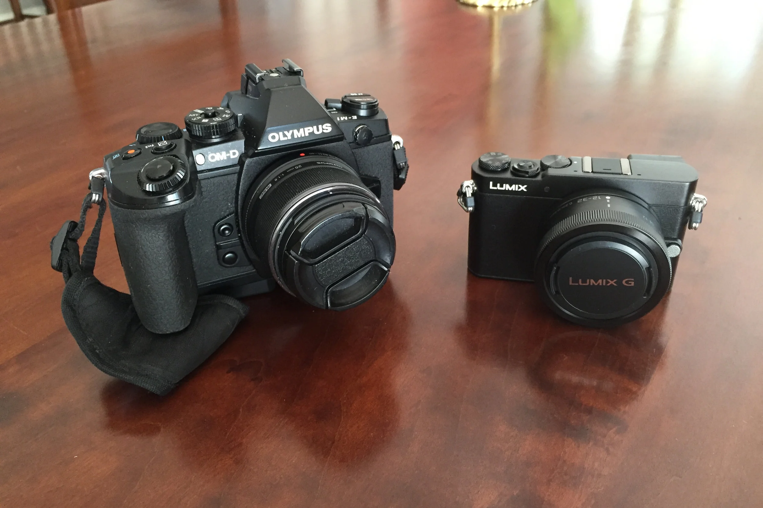 The E-M1 and the Panasonic GM-5 side by side.