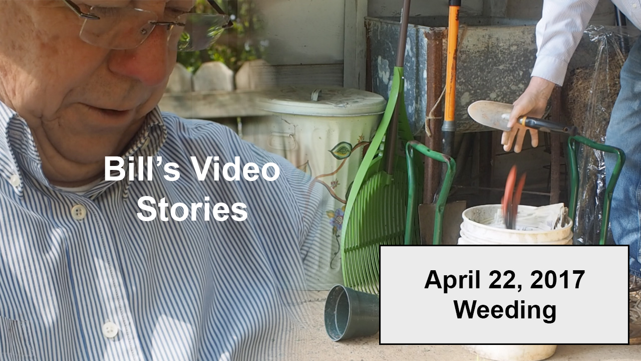 The first short video in the new series.