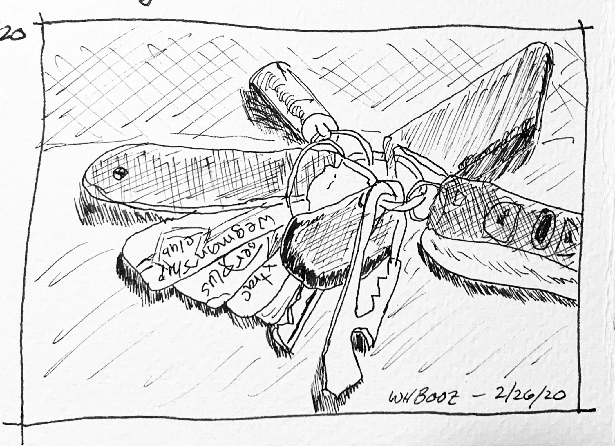 Border or No Border Around Your Sketches? — Arts Learning Center