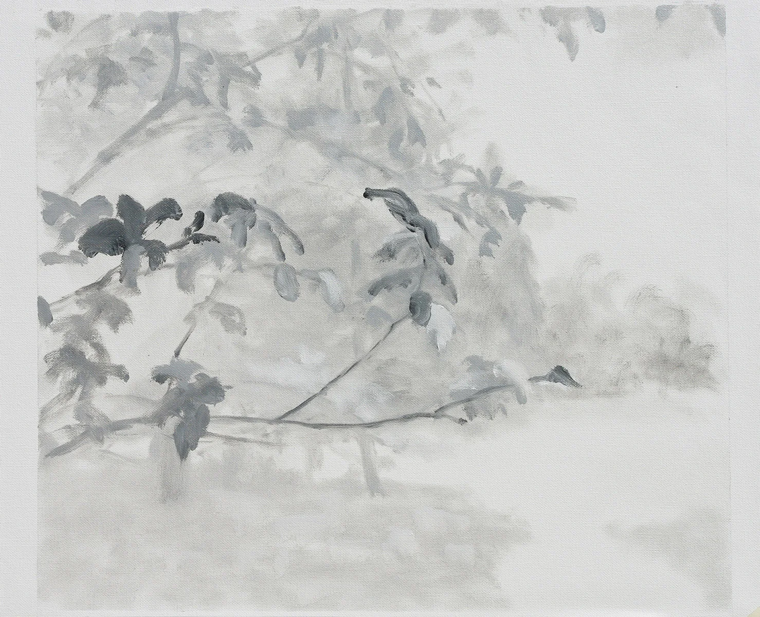 Gray Study 9 16 × 18 inches 0.6 × 45.7 cm Oil on canvas 2011