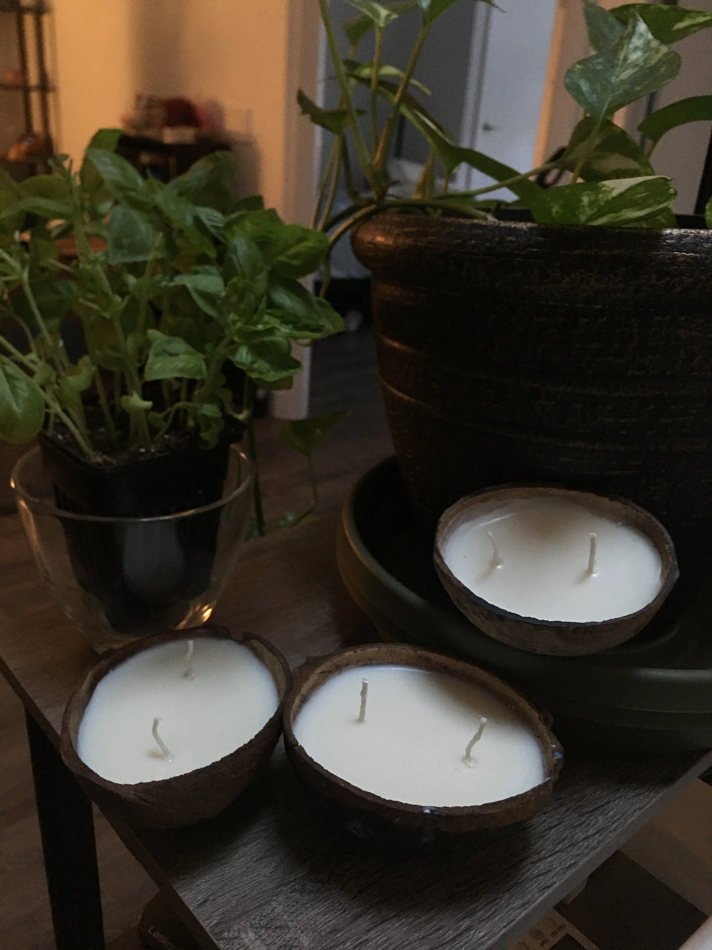 8AEC889D-57B9-4106-B6DF-C60271B163B3