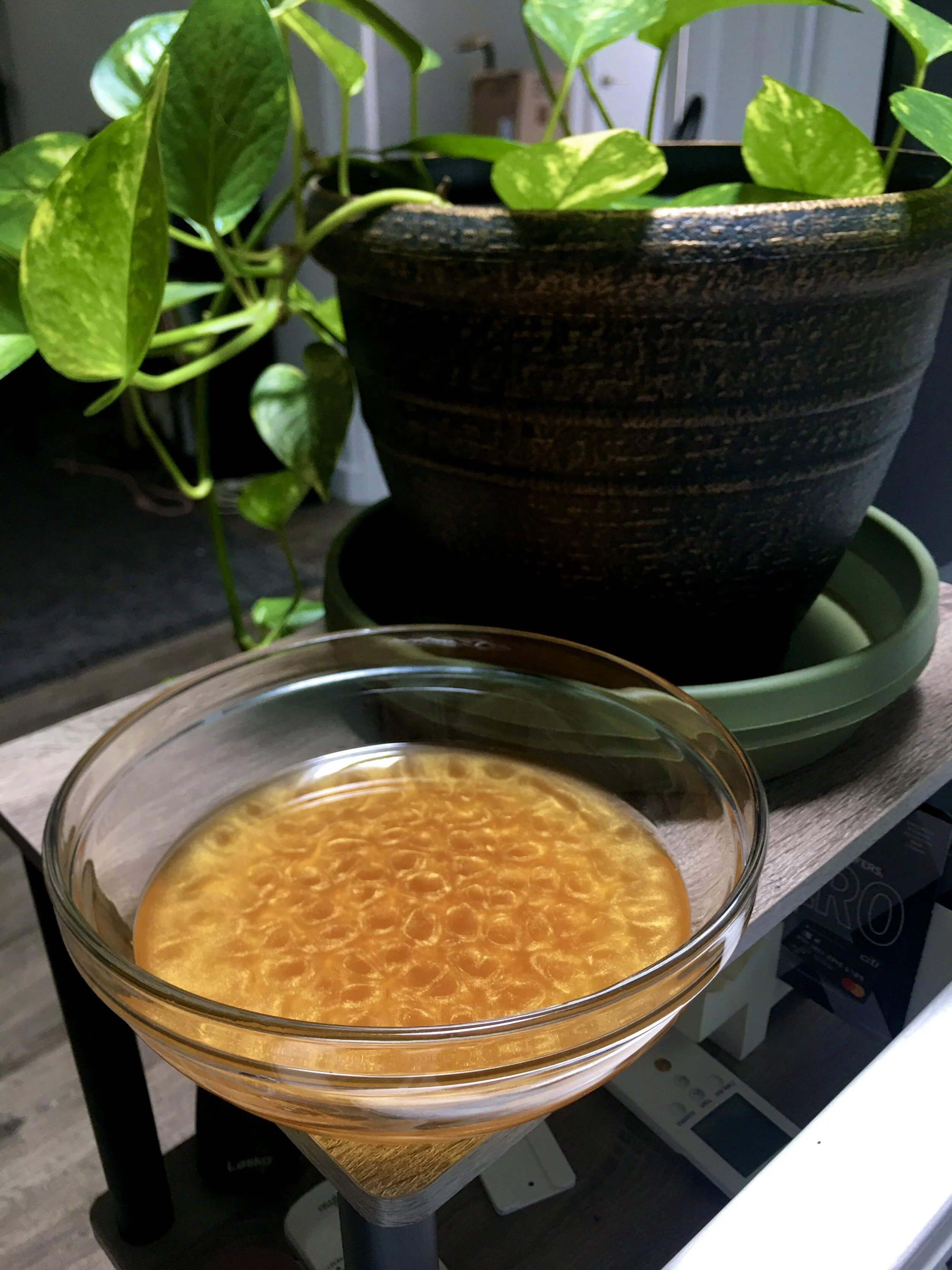 11CCC355-FF8B-4013-97CE-4DBC55CFD0D0