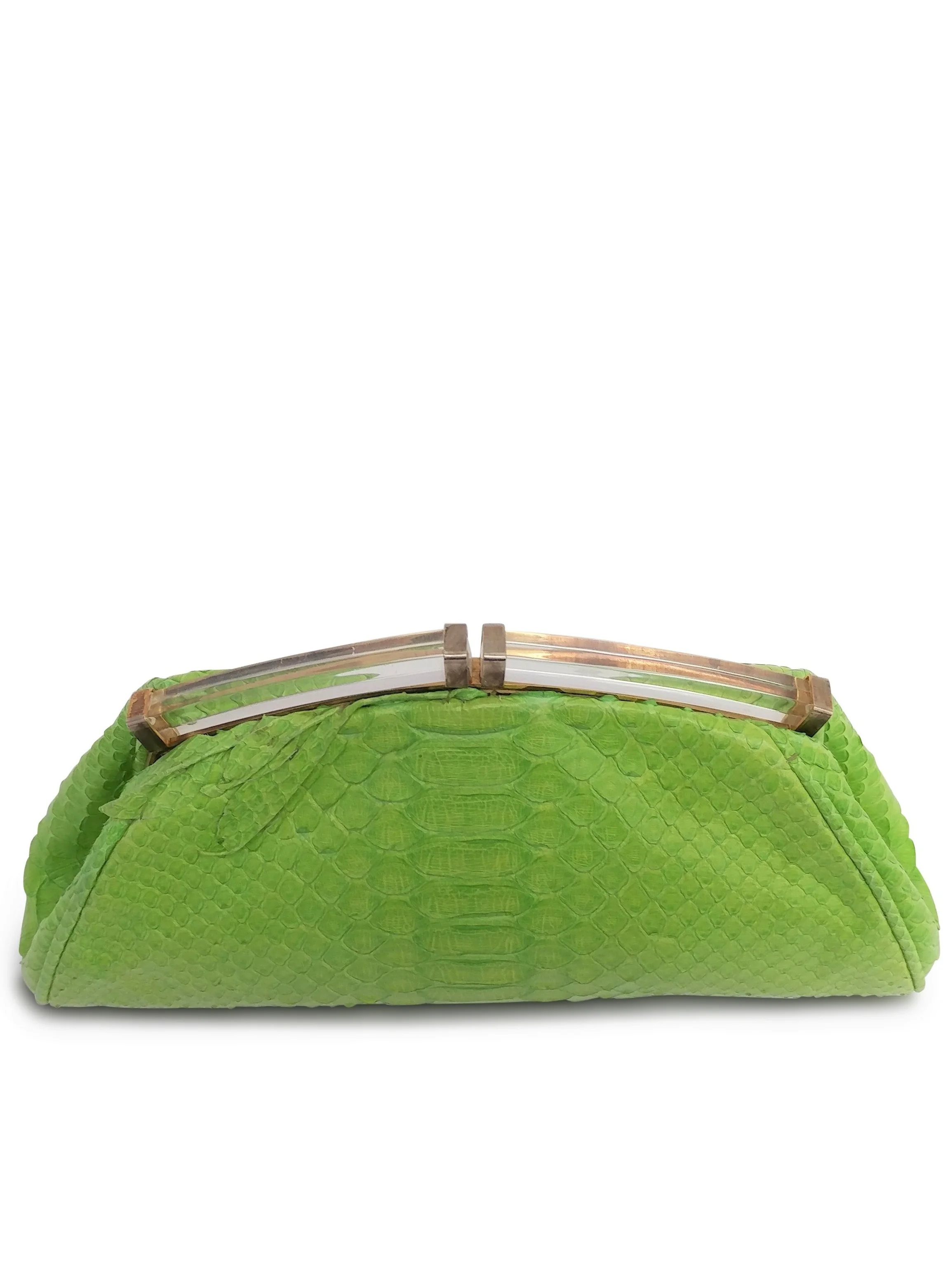 Anthony Luciano custom Vintage Lucite Frame Clutch With Lime Python