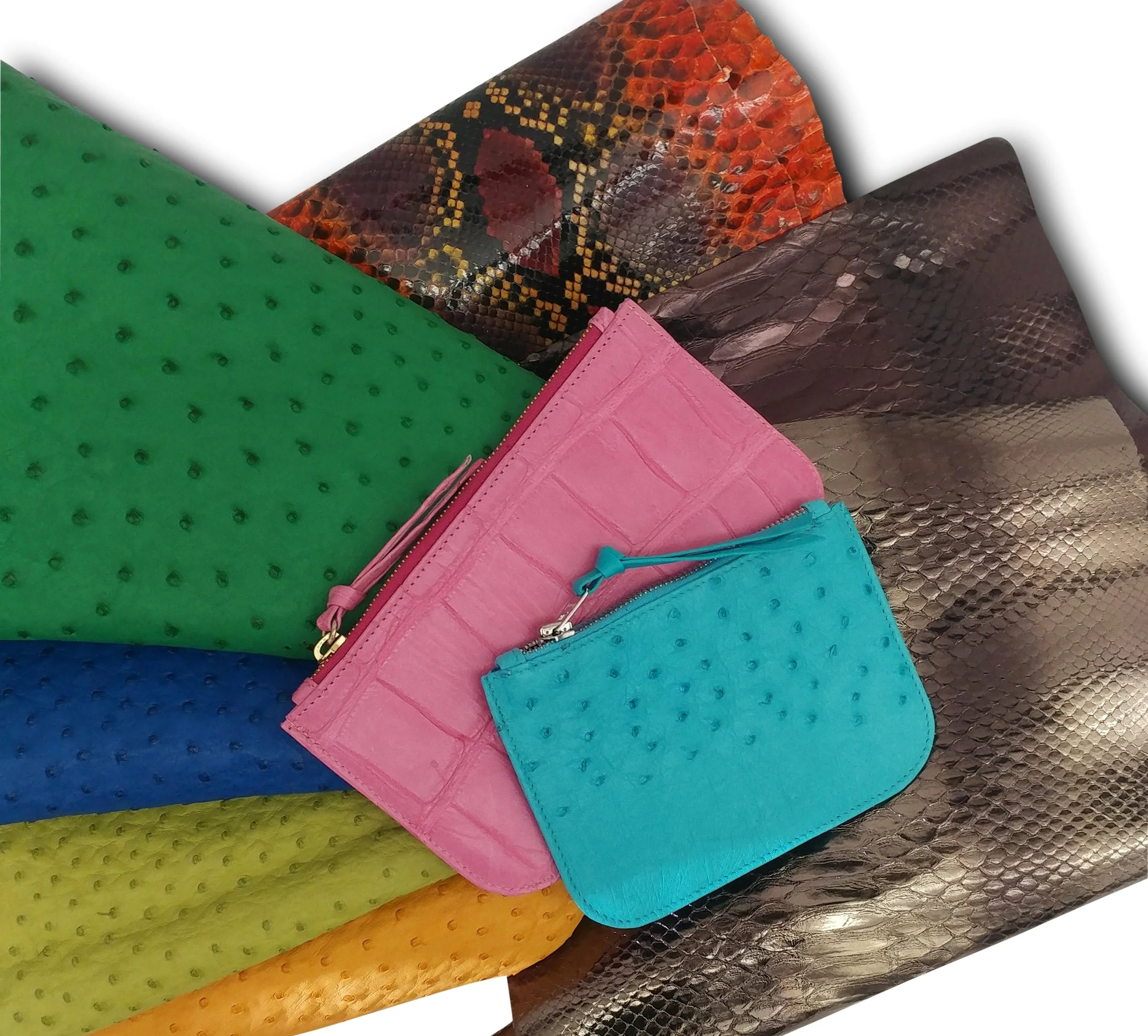 Anthony Luciano custom Amy Zip Pouch