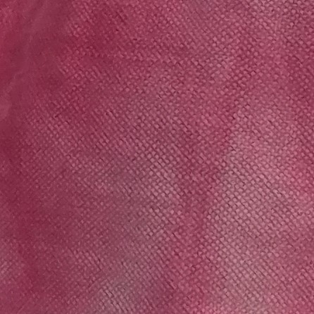 Color HIbiscus.jpg