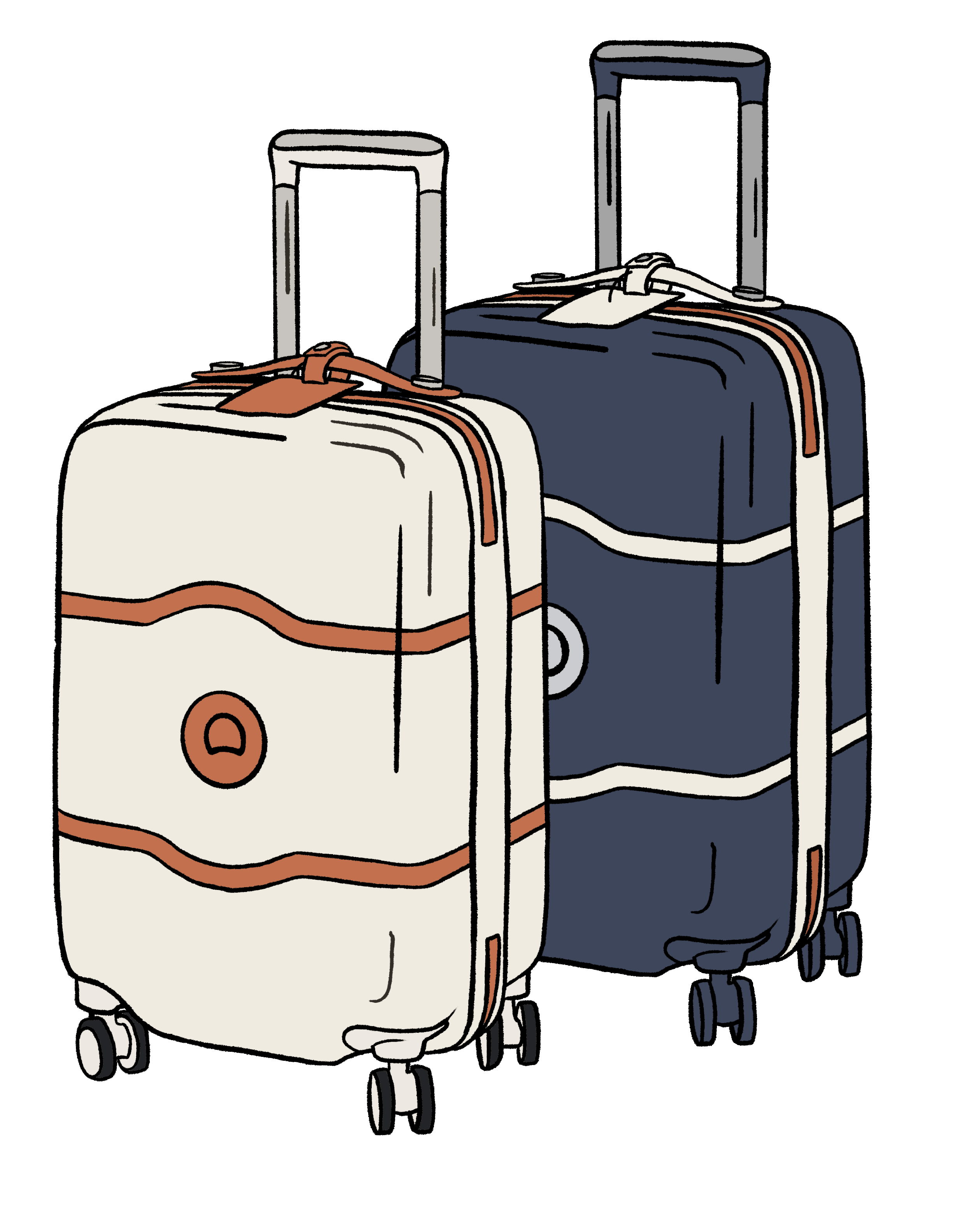 Delsey-Suitcase.gif