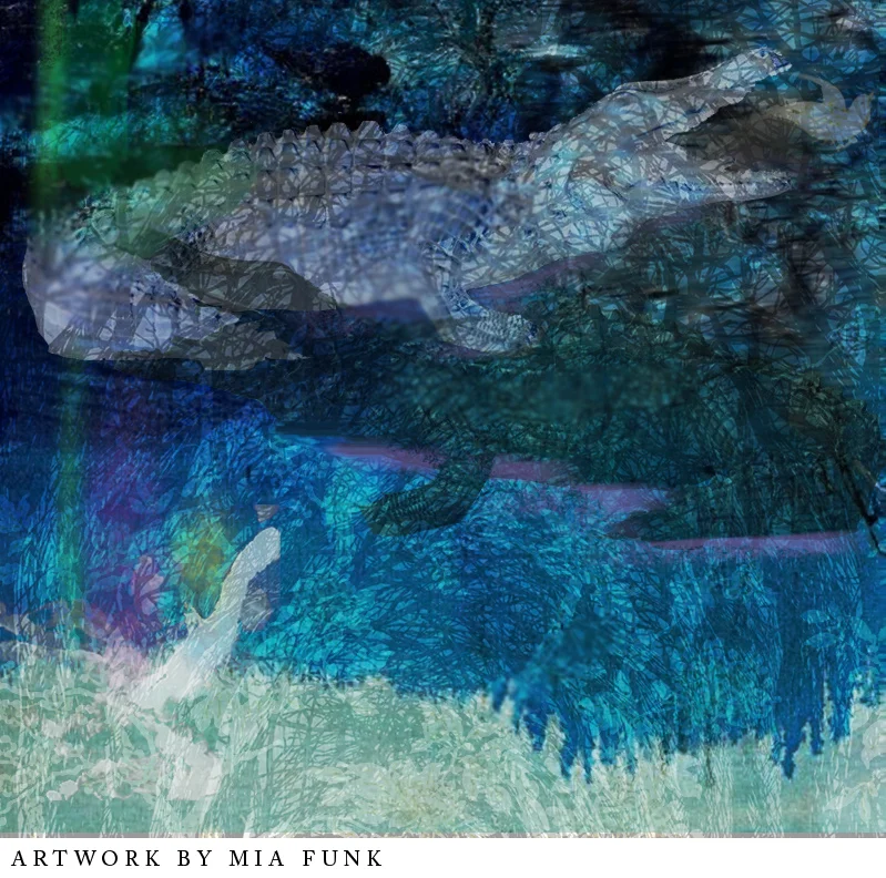 Alligators at Night