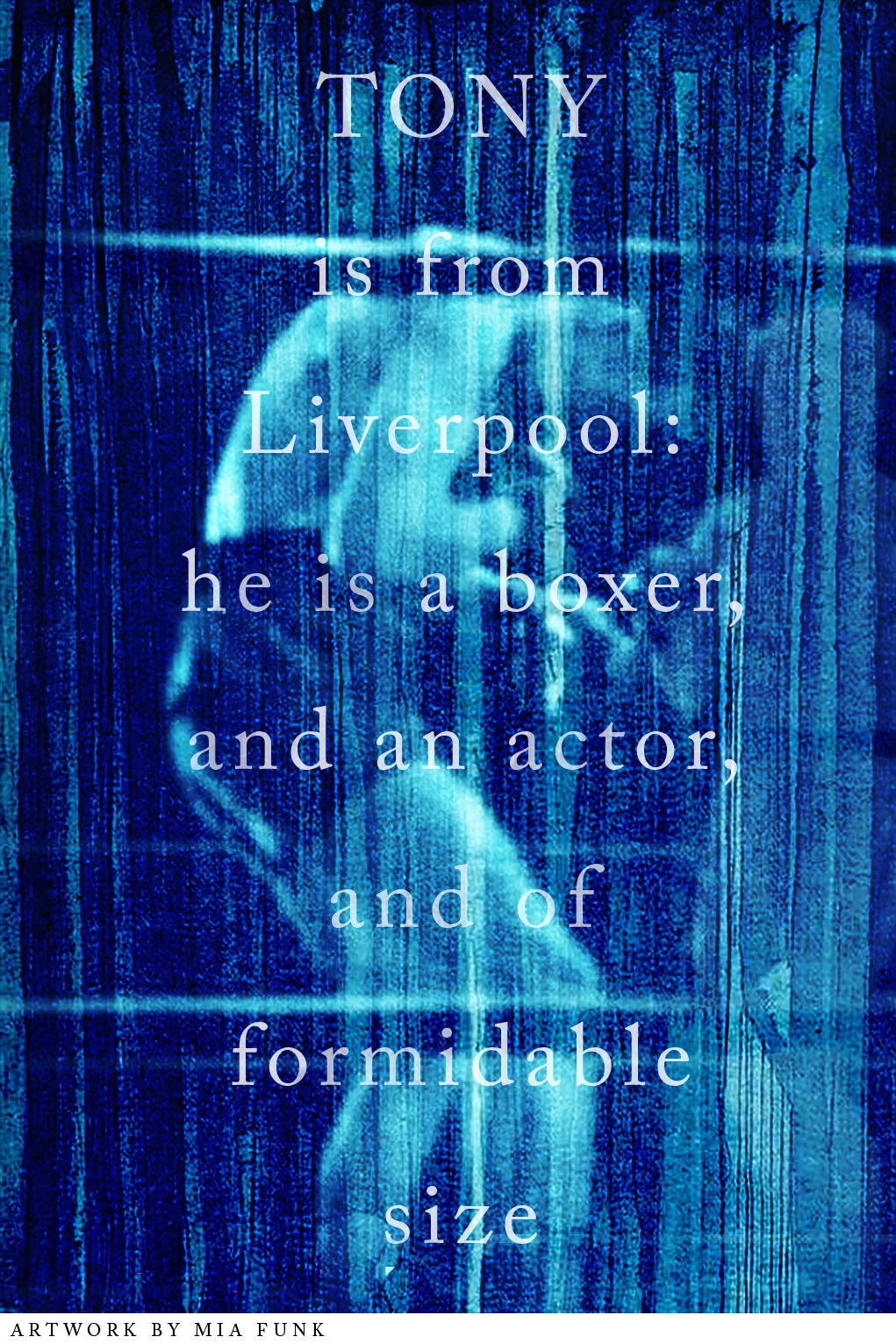 The Boxer