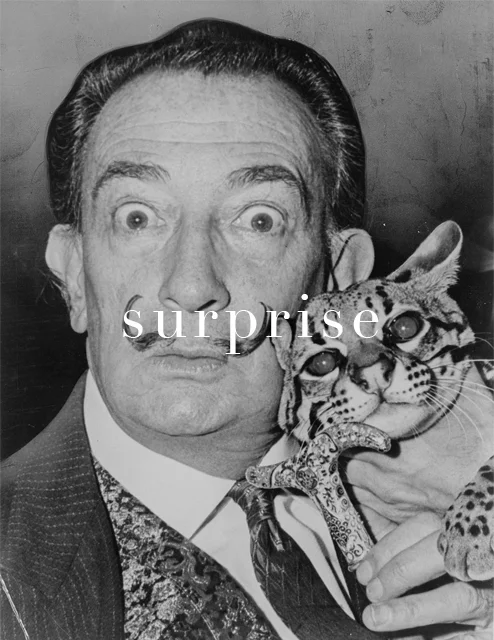 1024px-Salvador_Dali_NYWTS-SURPRISE.jpg