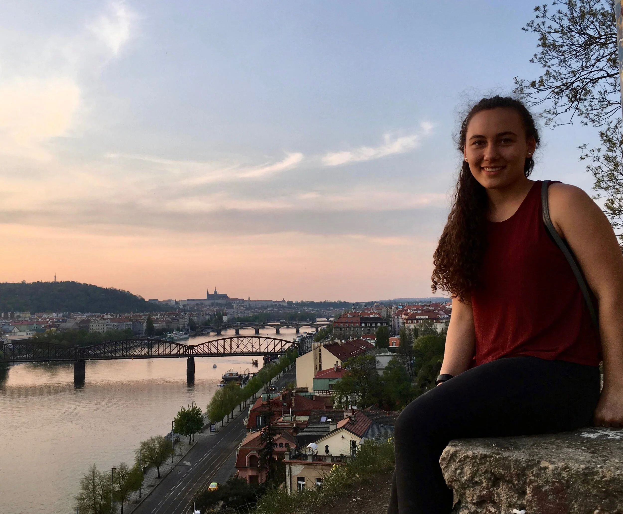 Young Writers and Artists Curator · Mount Holyoke College · Sarah Lancaster
