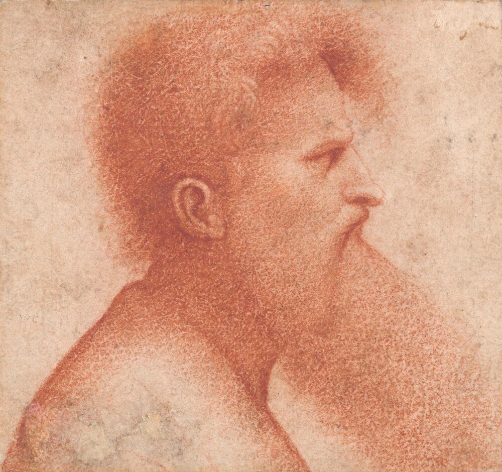 Giovanni Agostino da Lodi (active ca. 1467–ca. 1524), Head of a Bearded Man in Profile to the Right.jpg