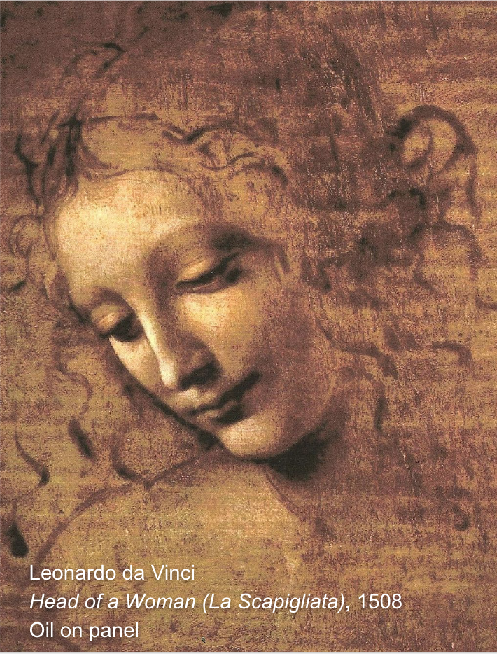 Leonardo da Vinci-Head of a Woman (La Scapigliata)-the-creative-process.png