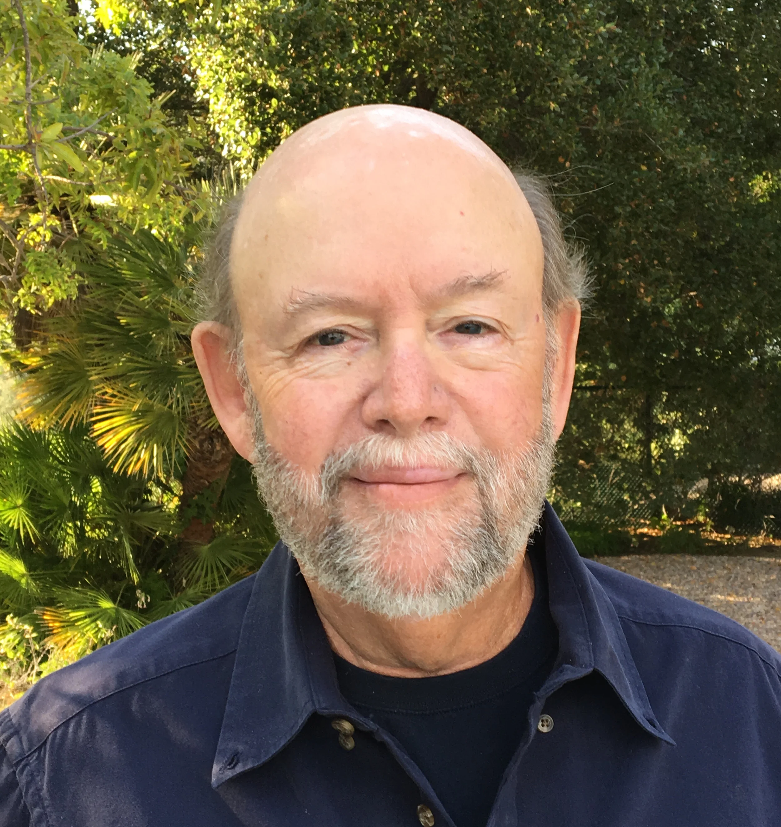 PAUL HIRSCH