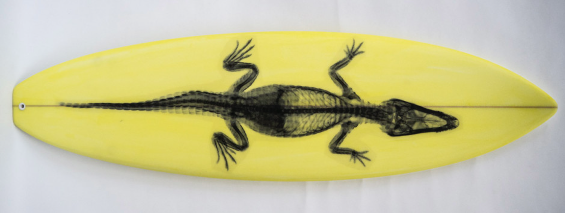 004, Black Gator on Yellow, 2013